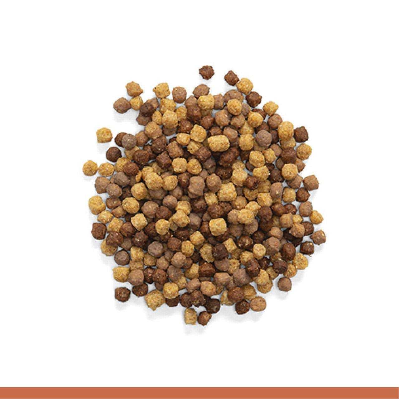 Medium Bird Food with Natural Nut Flavor L187439