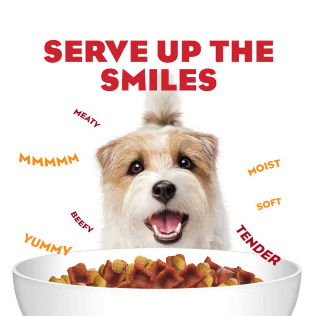 Canned Dog Food Bacon & Egg Flavor I425925
