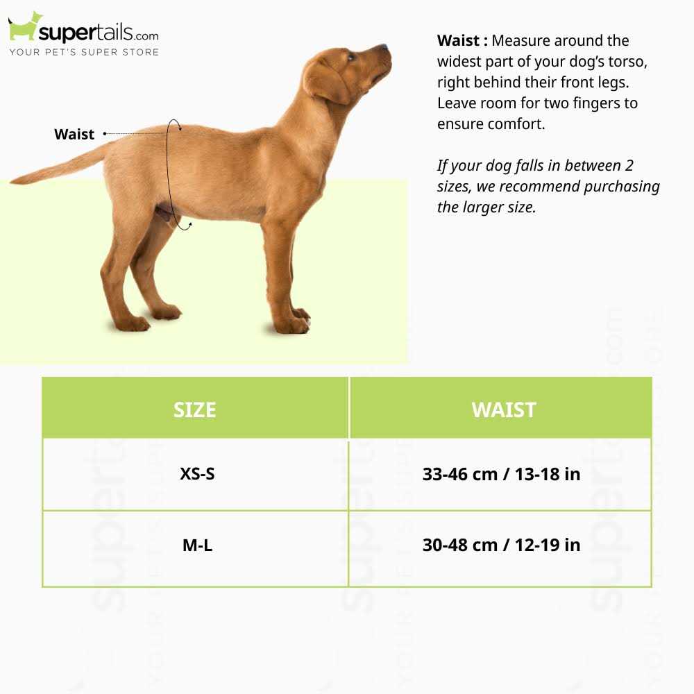 Disposable Male Dog Diapers P709730