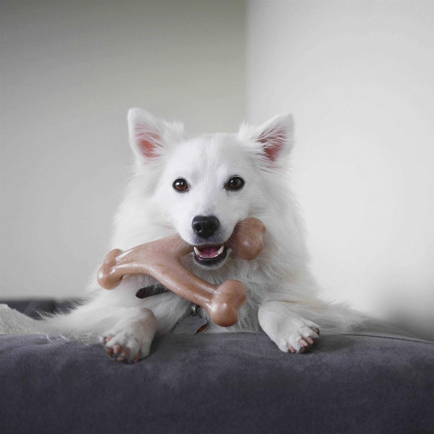 Wishbone Dog Chew Toy M462