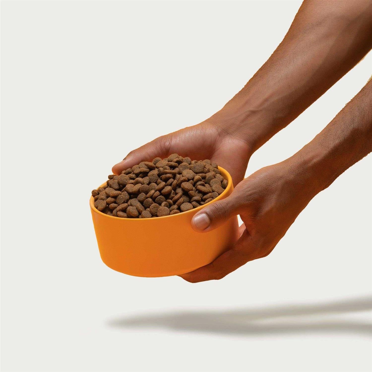 Chicken Brown Rice & Sweet Potato Dry Dog Food W84726