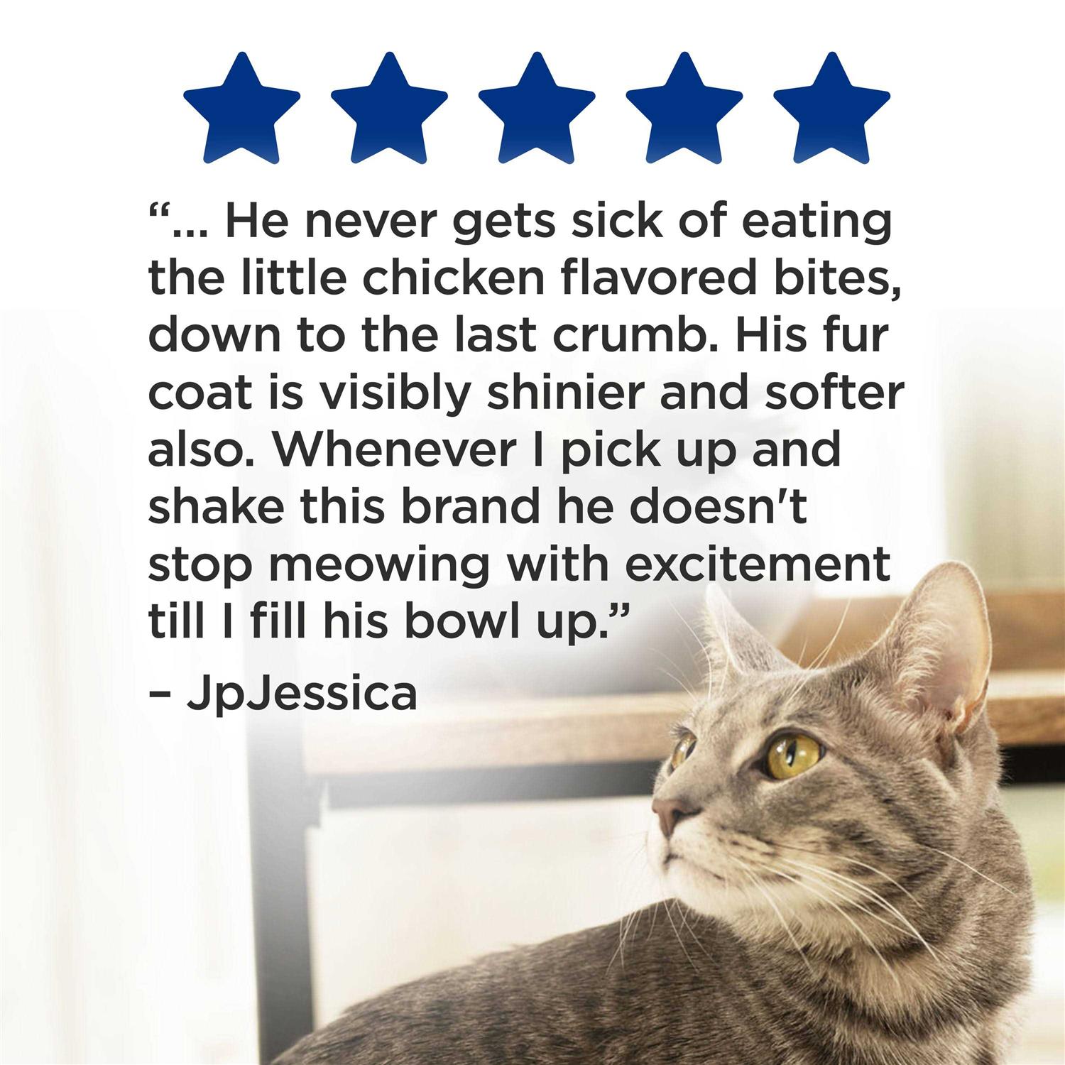 Complete Dry Cat Food U982