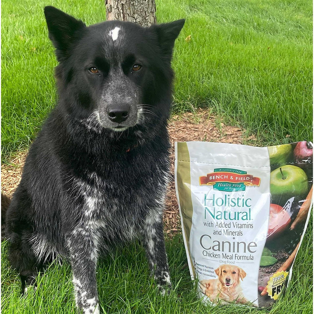 Holistic Natural Adult Dry Dog Food, Chicken Meal and Brown Rice Recipe 6.6 lb Bag I428