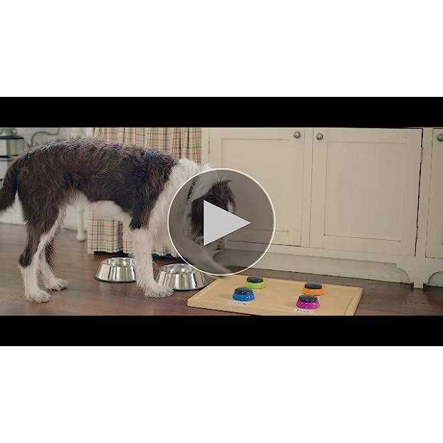Dry Dog Food Real Chicken & Veggies Recipe P405