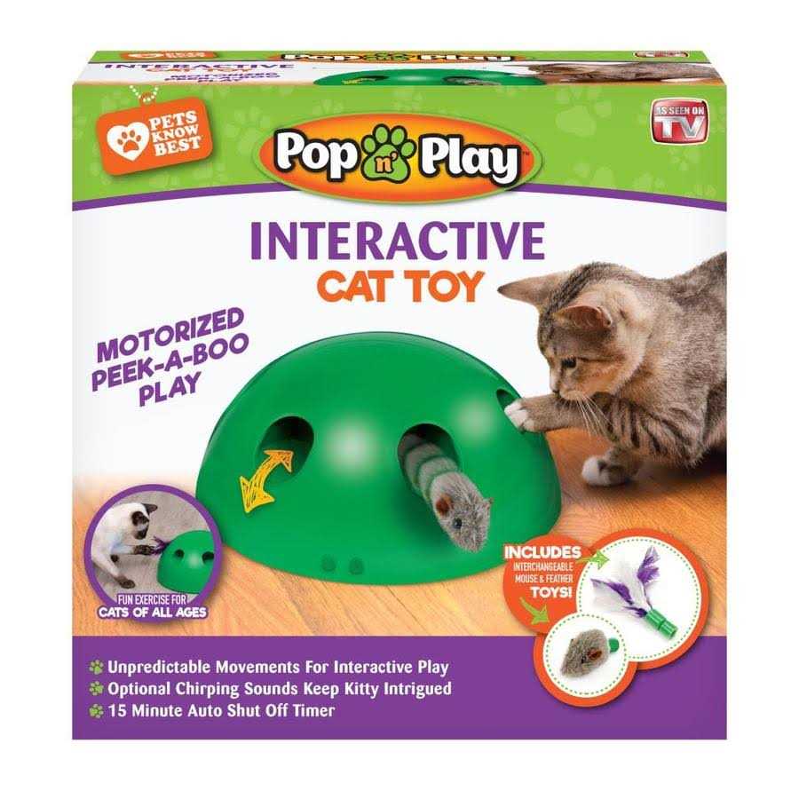 Cat Toy L170224