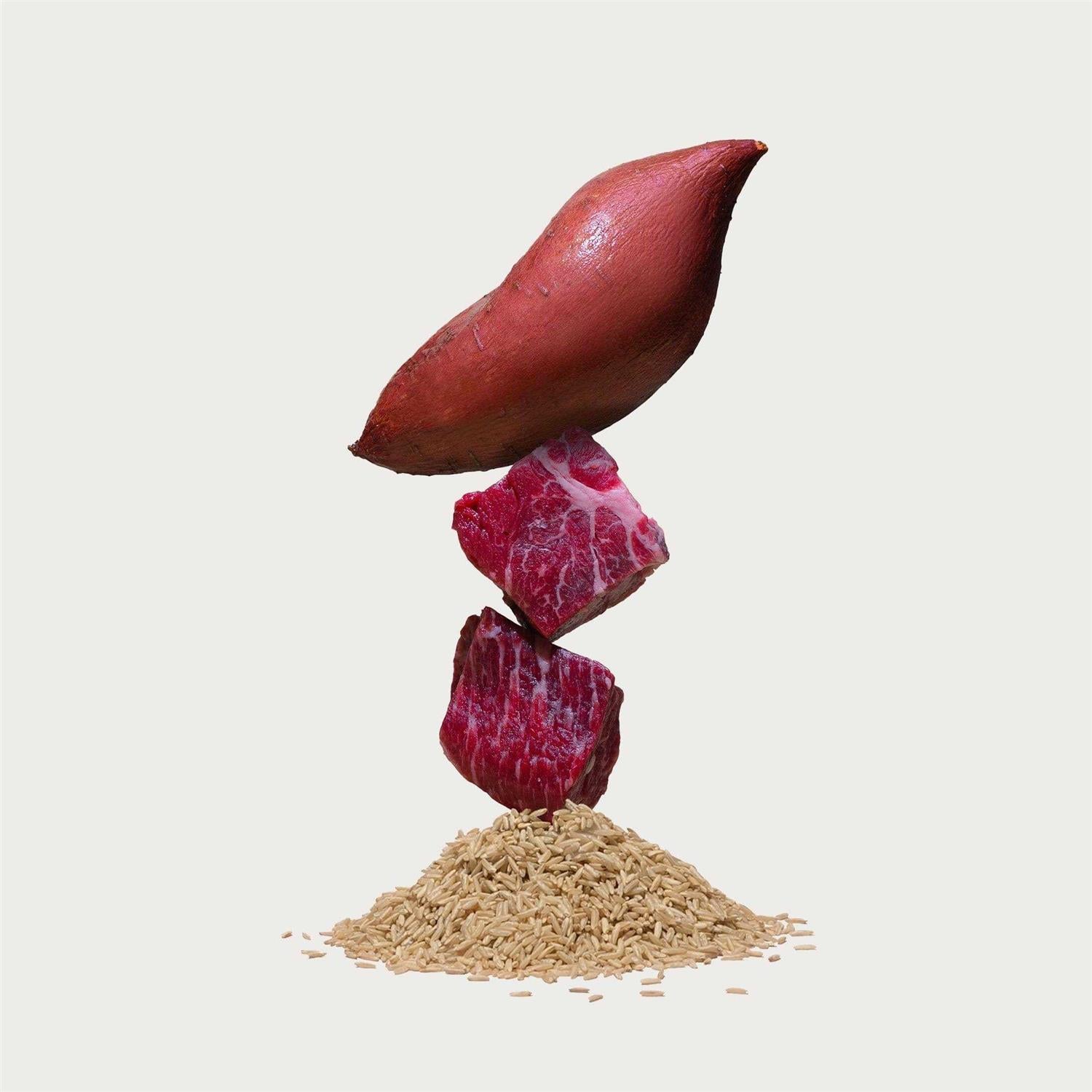 Beef Brown Rice & Sweet Potato Dry Dog Food J950