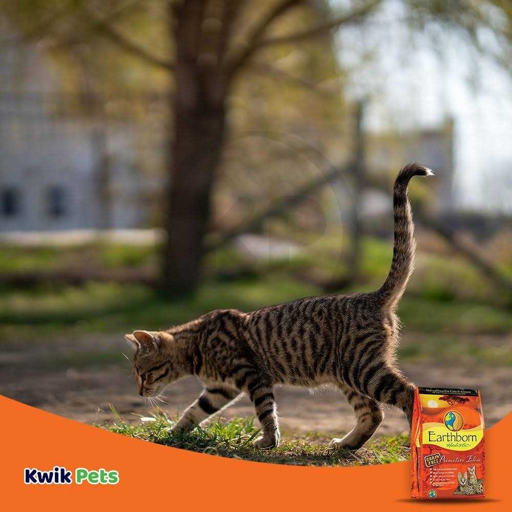 Primitive Feline Dry Food F5377