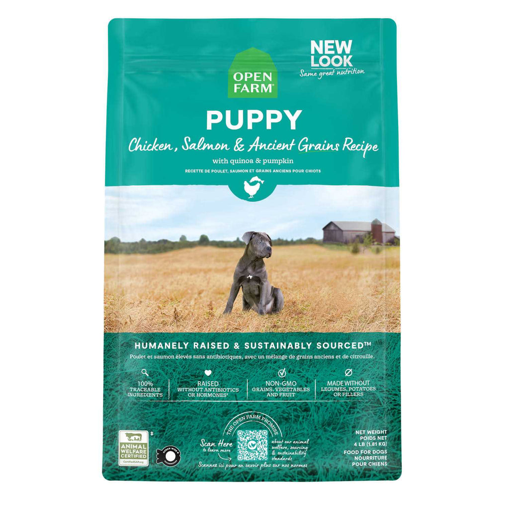 Pasture Raised Lamb Ancient Grains Dry Dog Food J238053