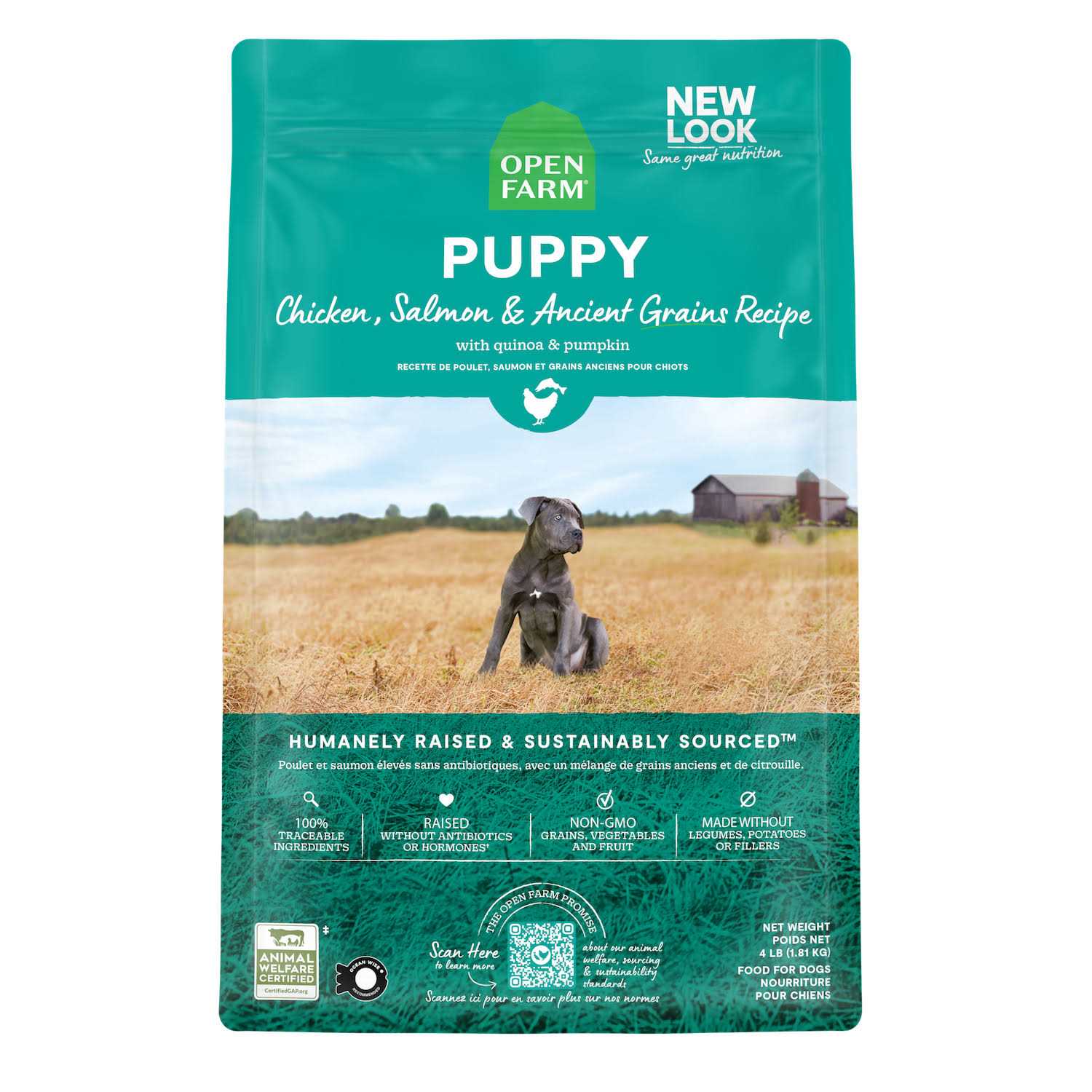 Pasture Raised Lamb Ancient Grains Dry Dog Food J238053