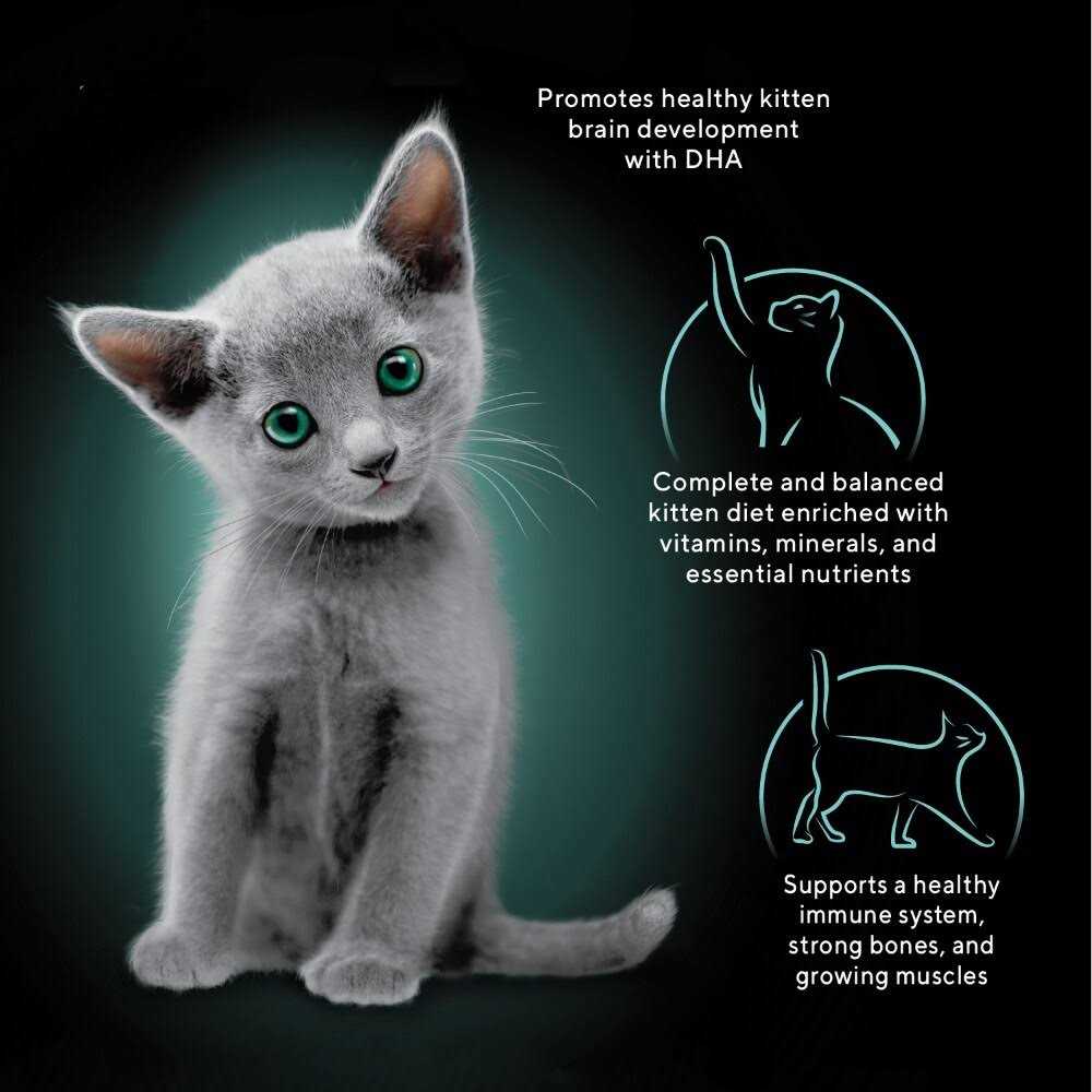 Wet Kitten Food Pate Q7330