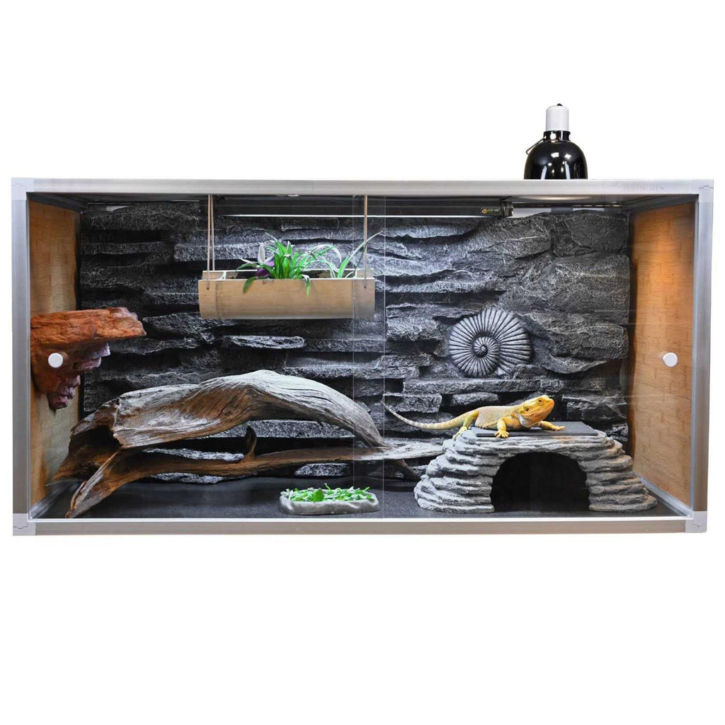 Bearded Dragon Enclosure 4x2x2 Wood U989854