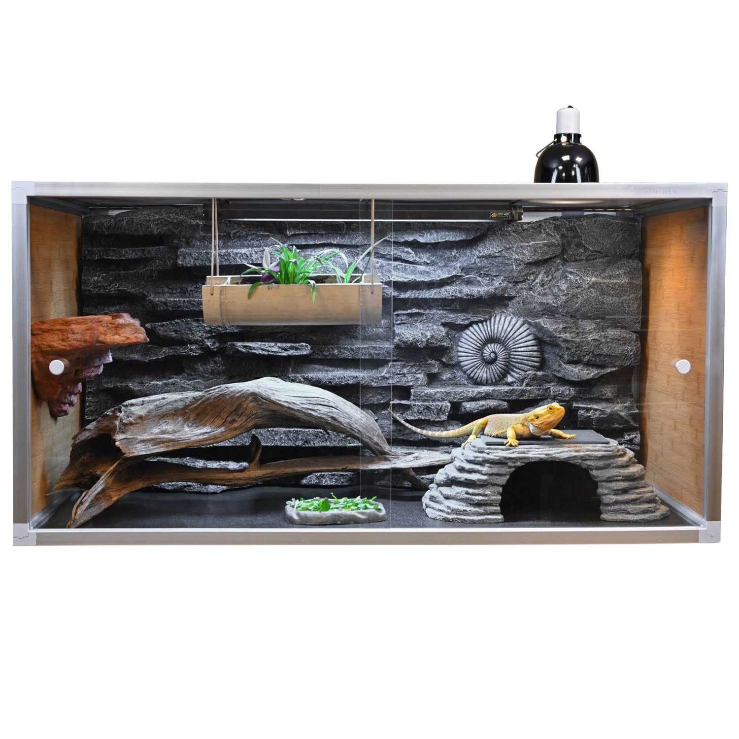 Bearded Dragon Enclosure 4x2x2 Wood U989854