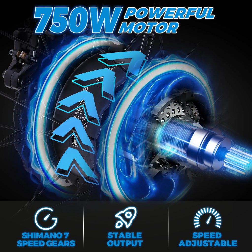 Electric Bike Fat Tire 26" Adults Aluminum Frame 750W Motor 48V 12.5AH C6861