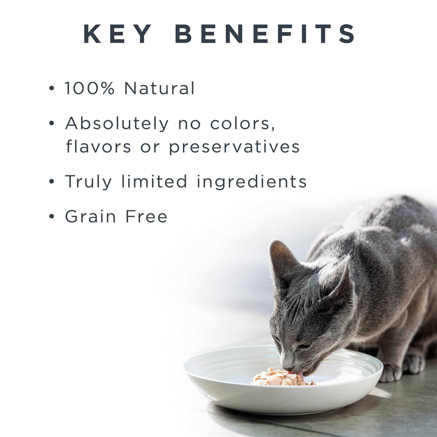 Cat Food Grain Free Chicken in Broth G445
