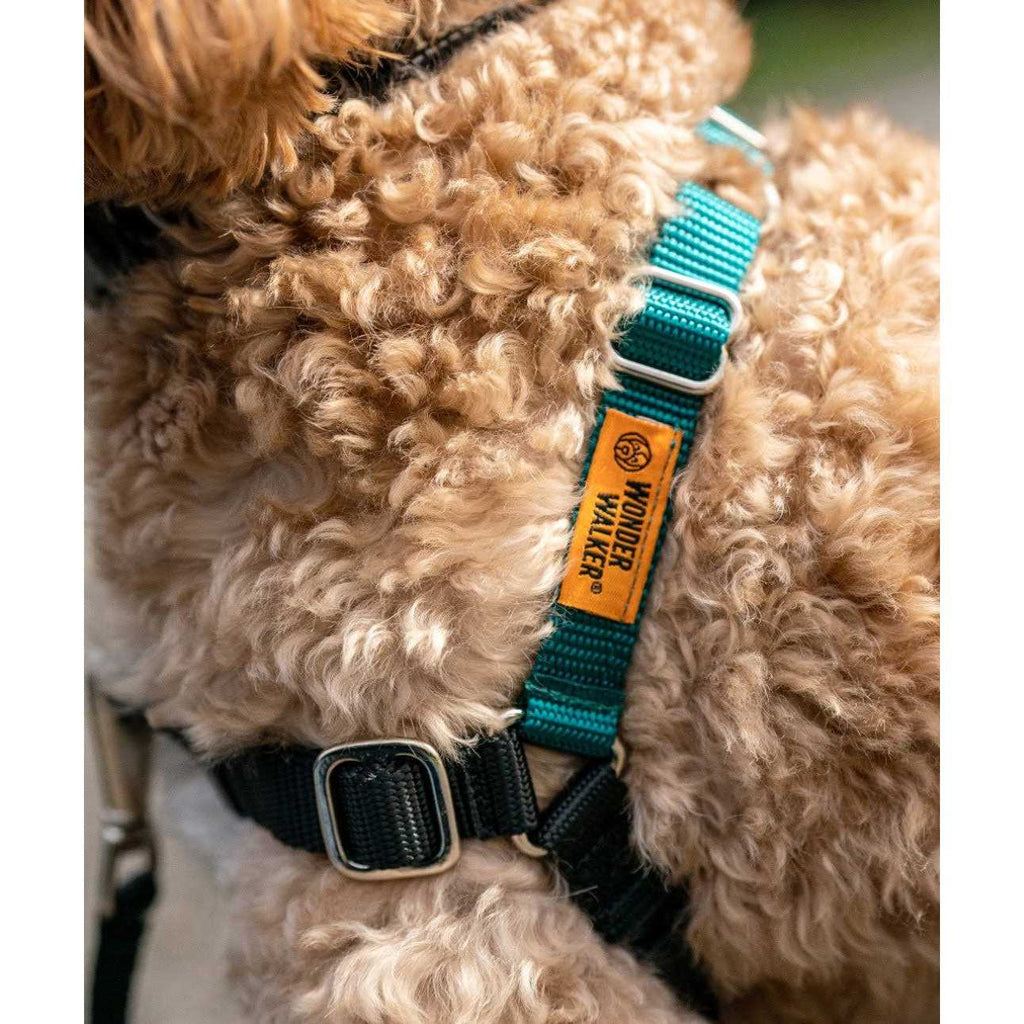 Body Halter Dog Harness I8719