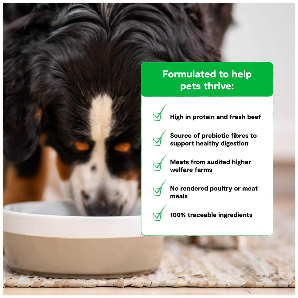 Grass Fed Beef Grain Free Dry Dog Food D89403