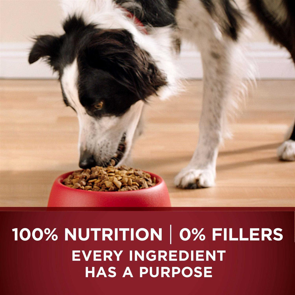 Turkey and Venison Dry Dog Food N248393