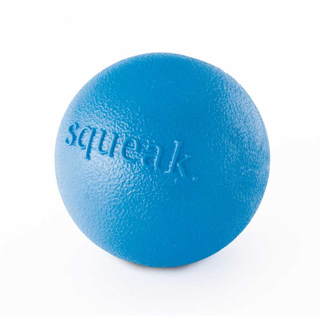 Squeak Toy Ball for Dogs N80474