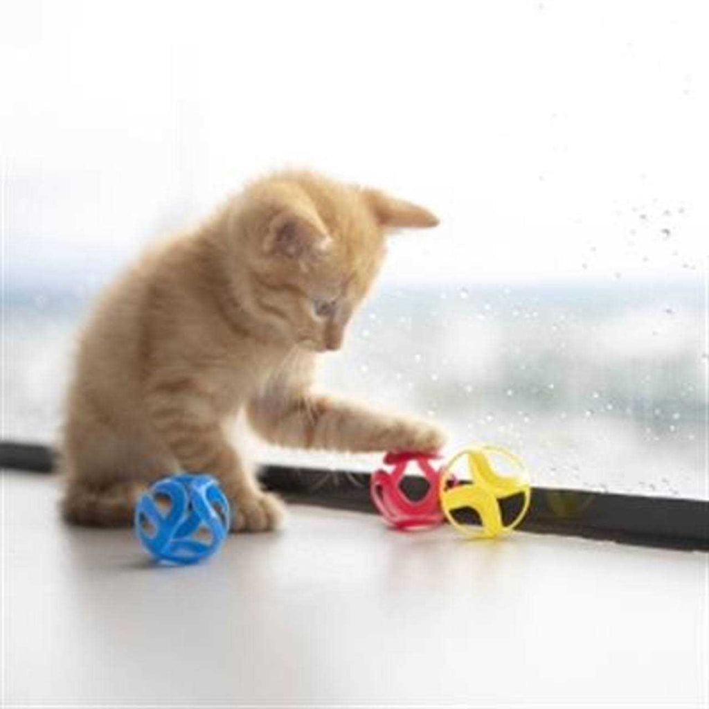 Cat Toy A4104