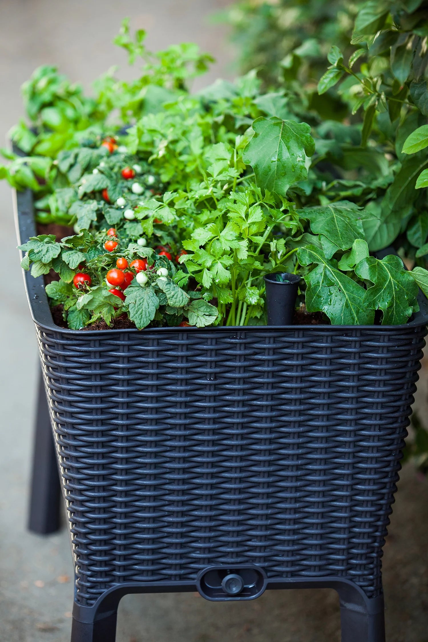 Elevated Garden Bed, Anthracite N732