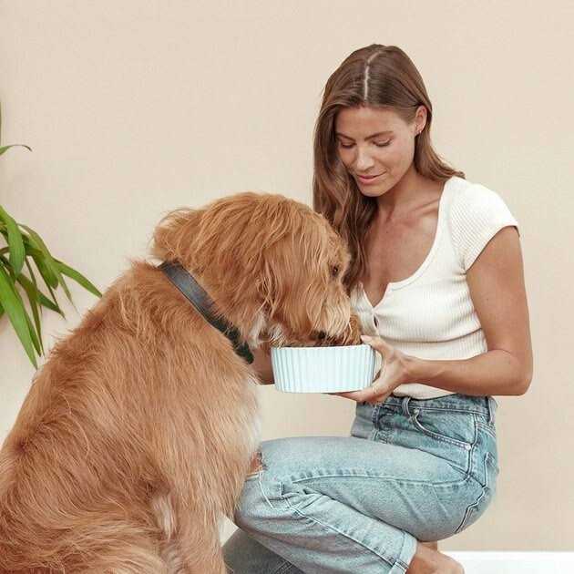 Chicken Sweet Potato & Carrot Dry Dog Food L7849