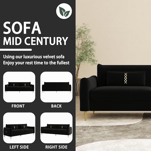 3-Seat Velvet Couch with Solid Wood Frame and Pillows Z663