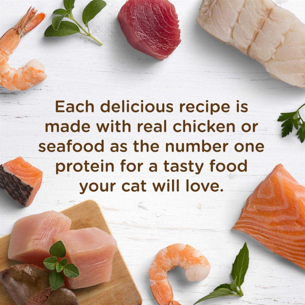 Grain-Free Wet Cat Food Chicken Recipe B3262