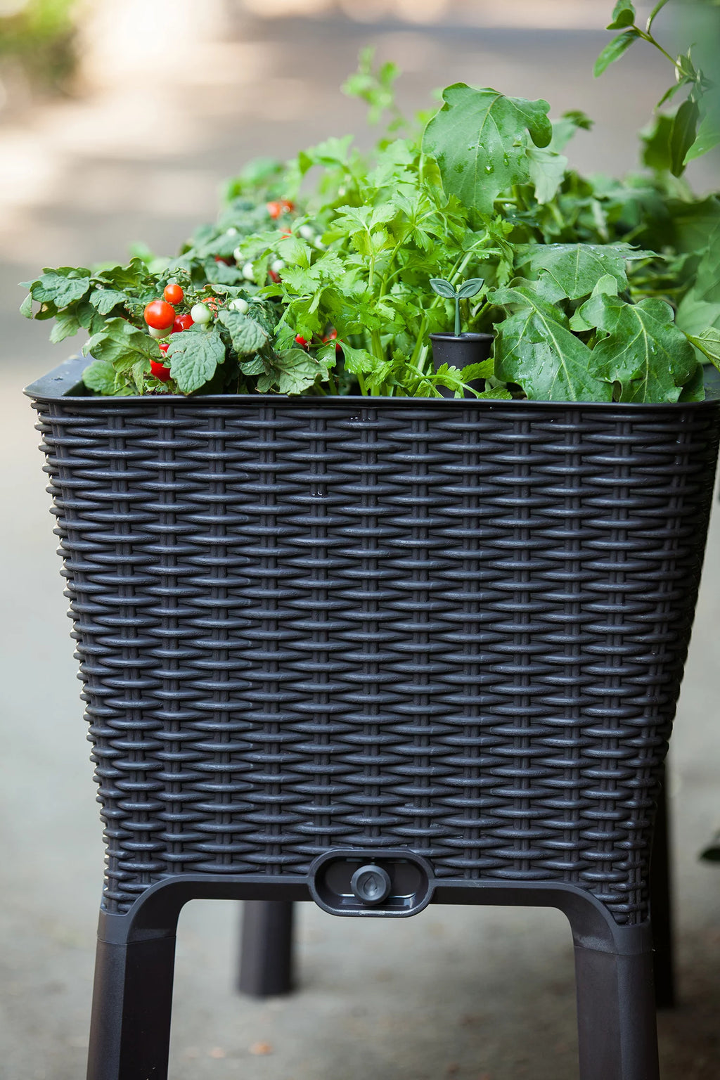 Elevated Garden Bed, Anthracite N732