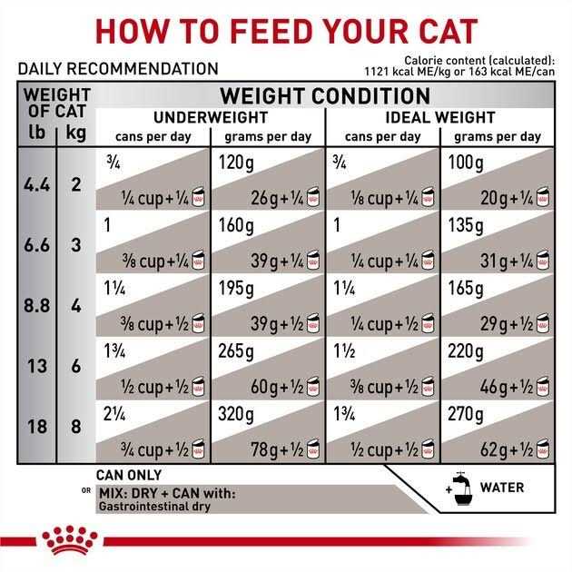 Gastrointestinal Loaf in Sauce Canned Cat Food R8210