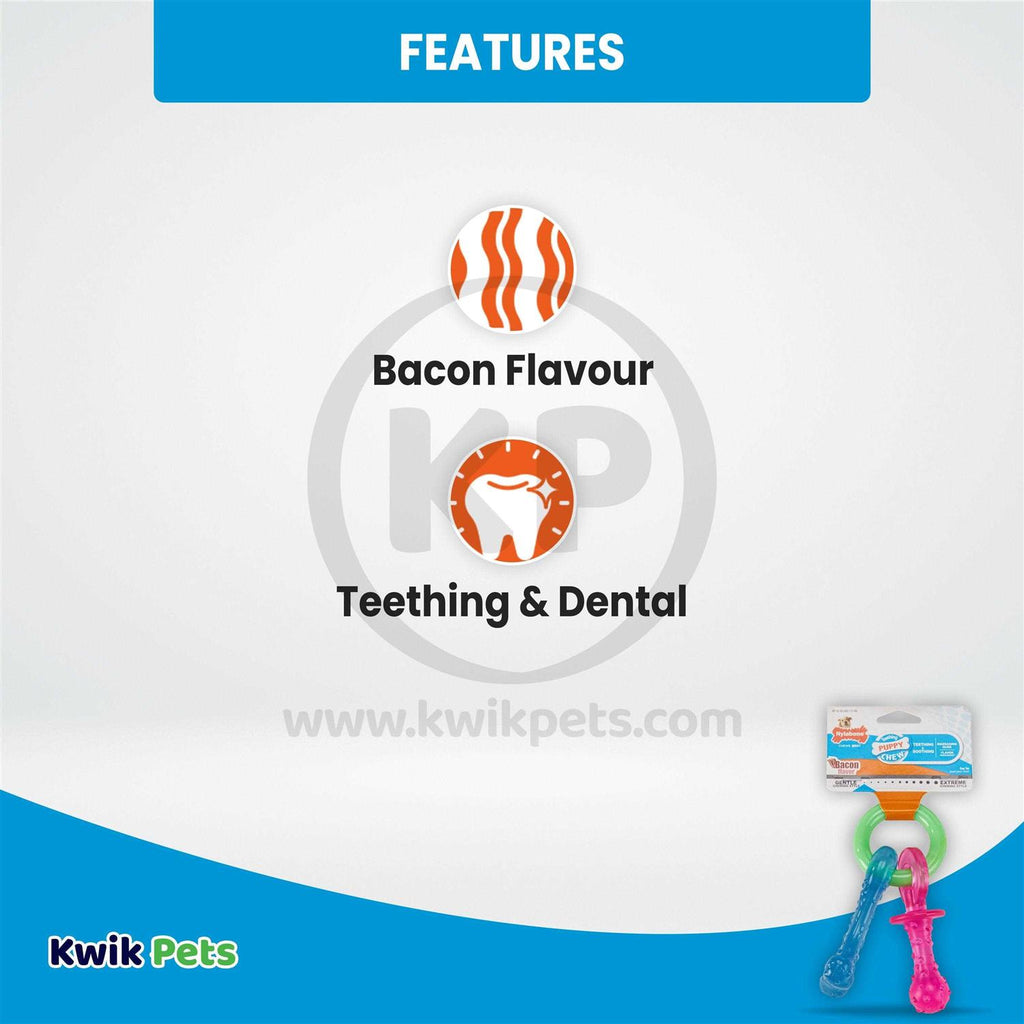 Puppy Chew Teething Pacifier D789276