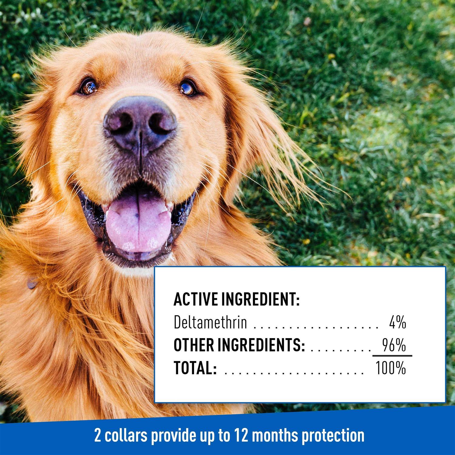 Flea Tick Collar for Dogs Puppies Y484044