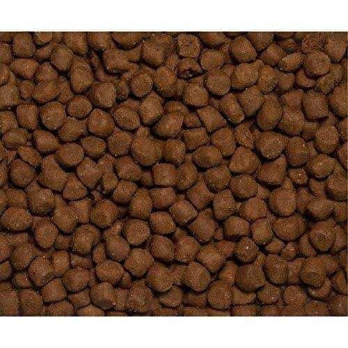 Dry Dog and Cat Food O286