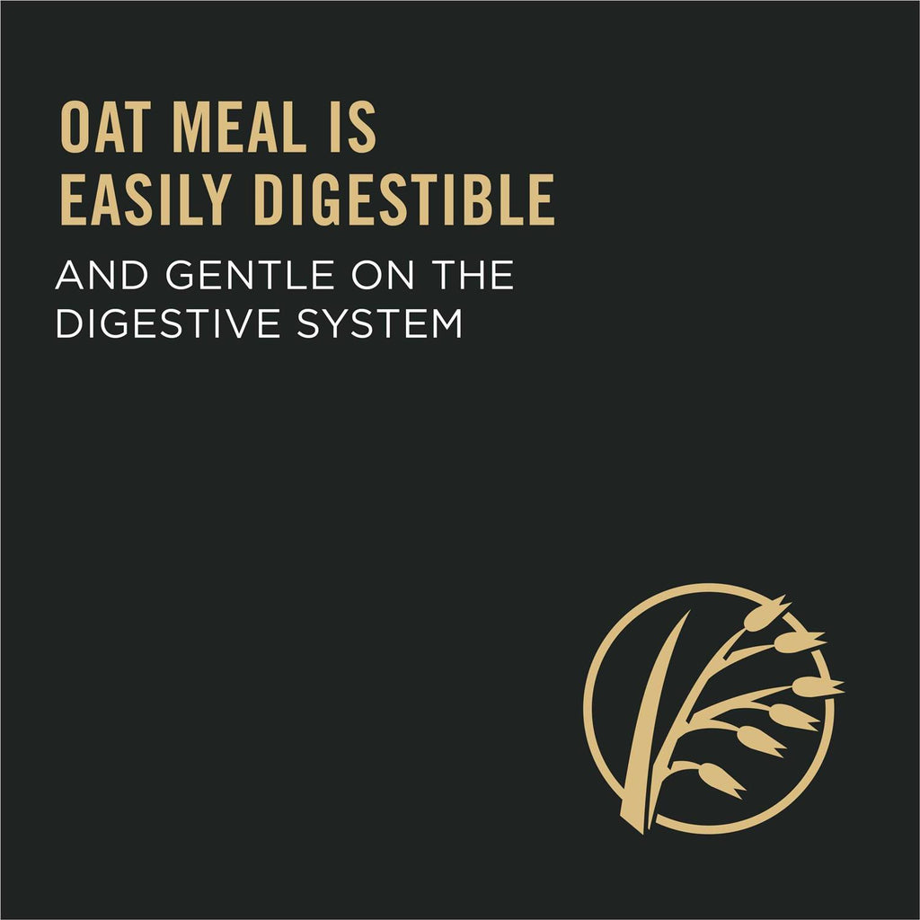 Sensitive Skin & Stomach Dry Dog Food with Oat Meal Formula W4465