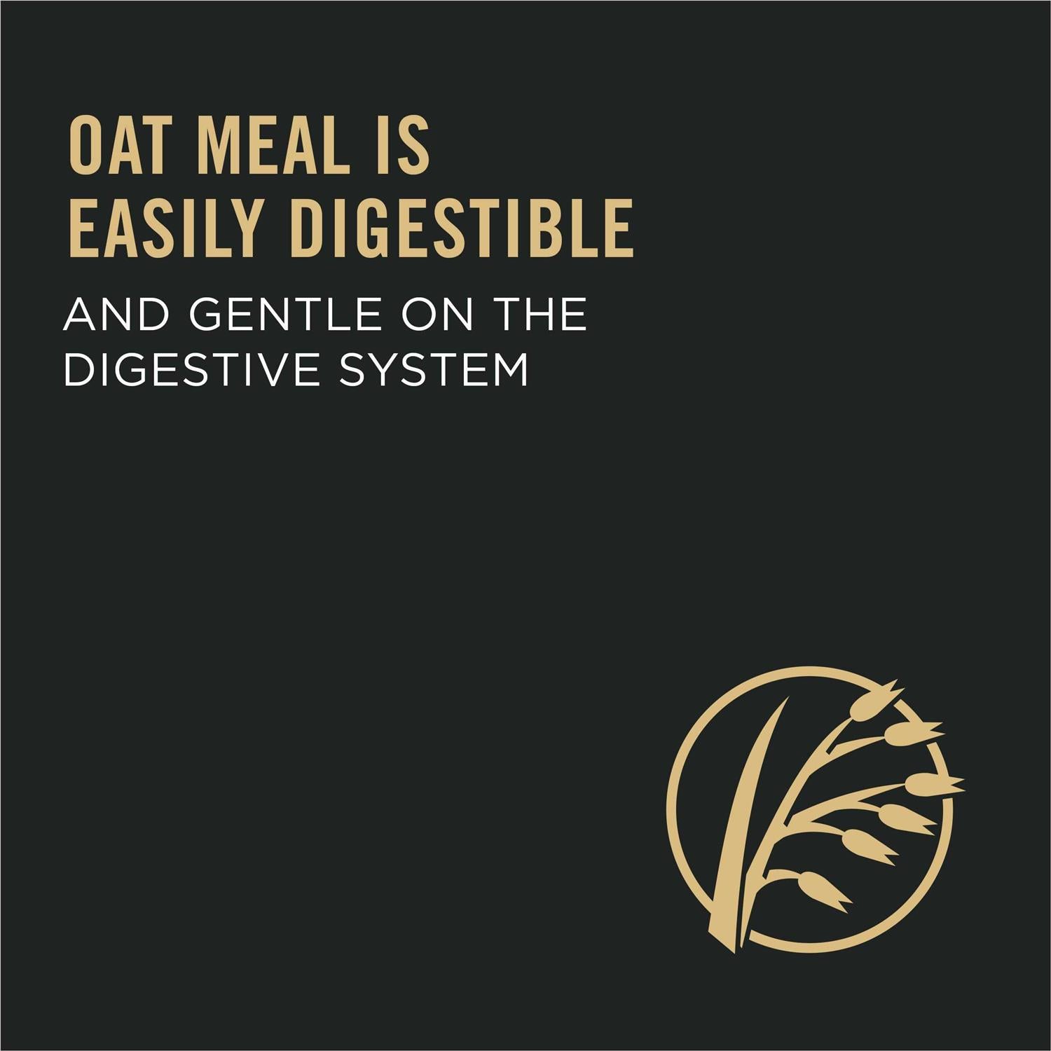 Sensitive Skin & Stomach Dry Dog Food with Oat Meal Formula W4465