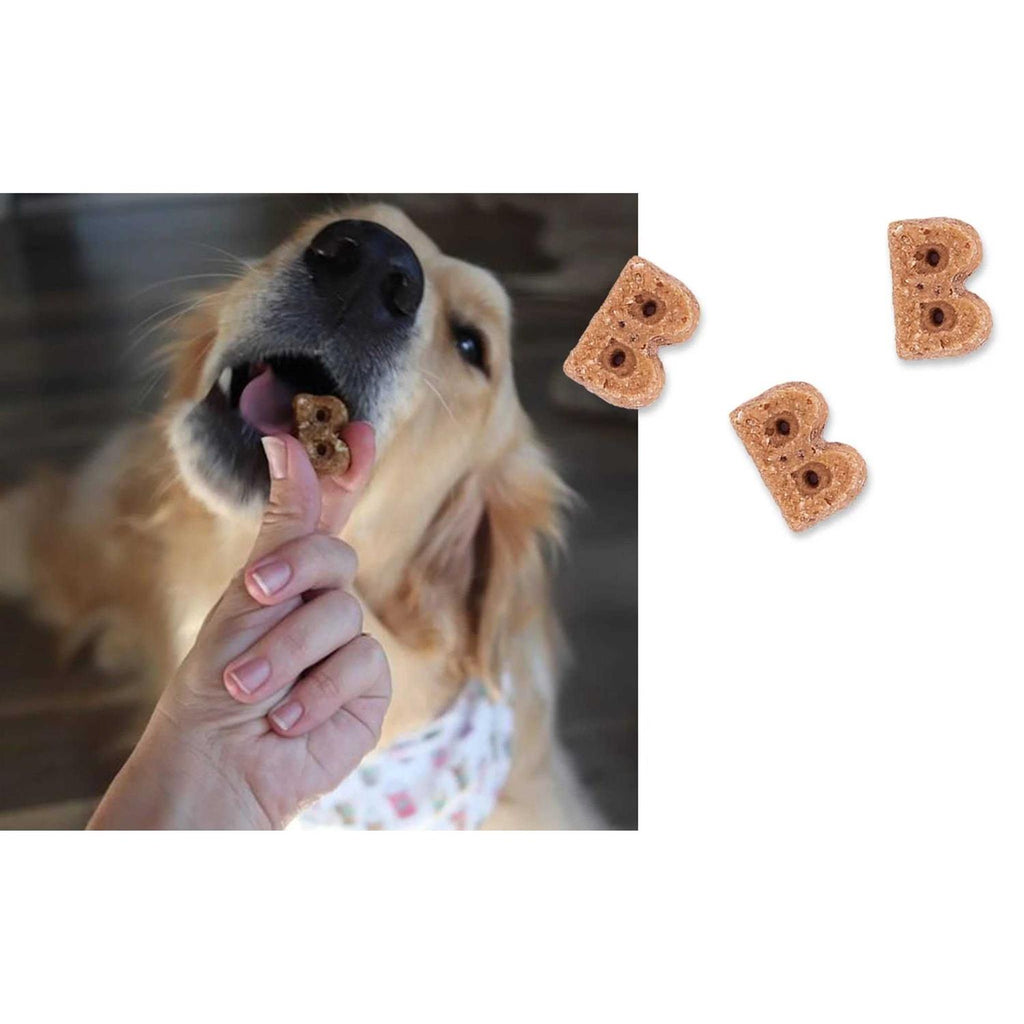 Berry Sorbet Soft Chewy Dog Treats W625112