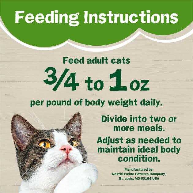Wet Cat Food Chicken Pate T820347