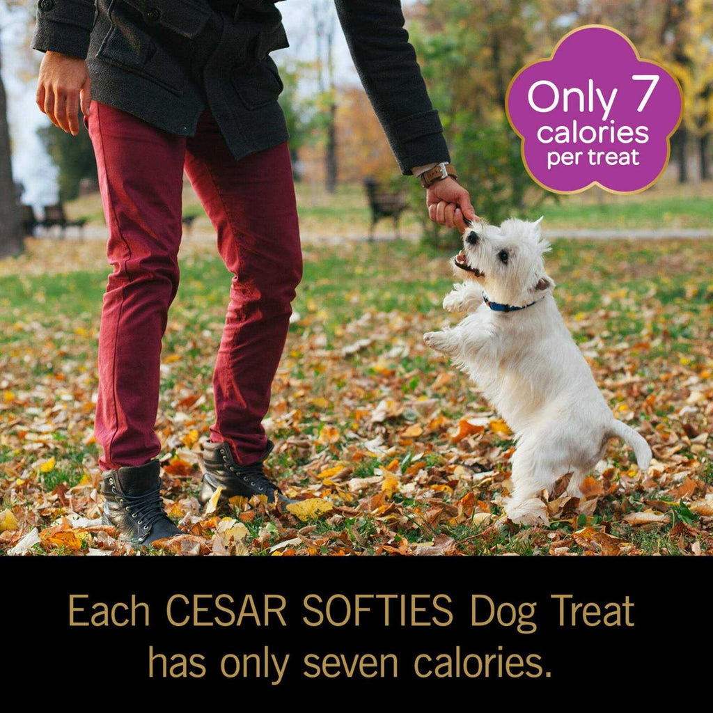 Soft Dog Treats Y13248