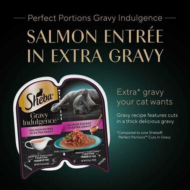 Wet Cat Food with Gravy for Adult Cats B85437
