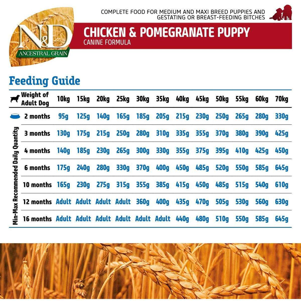 Chicken & Pomegranate Dry Dog Food V705392