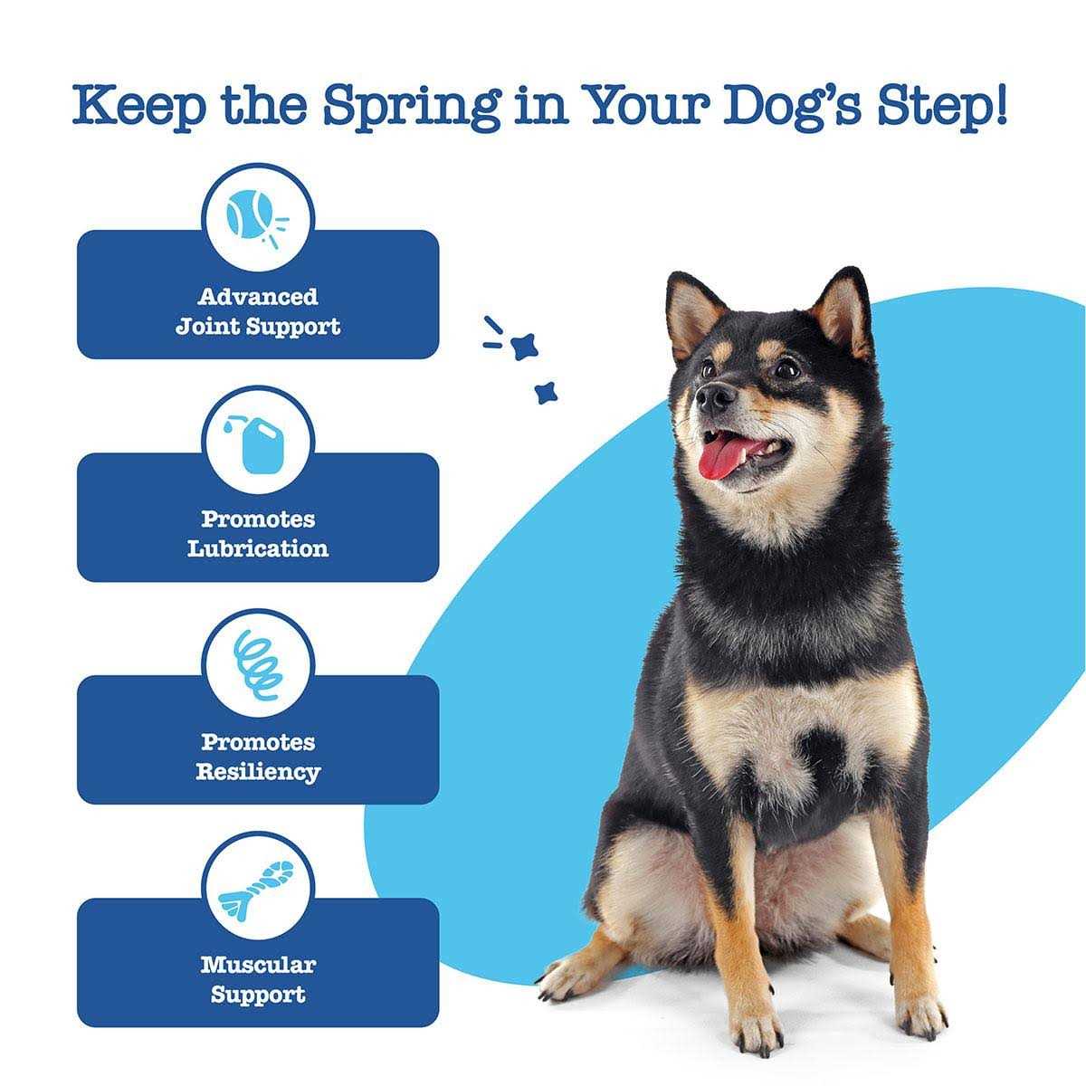 Hip Joint Mobility Bites for Senior Dogs M991