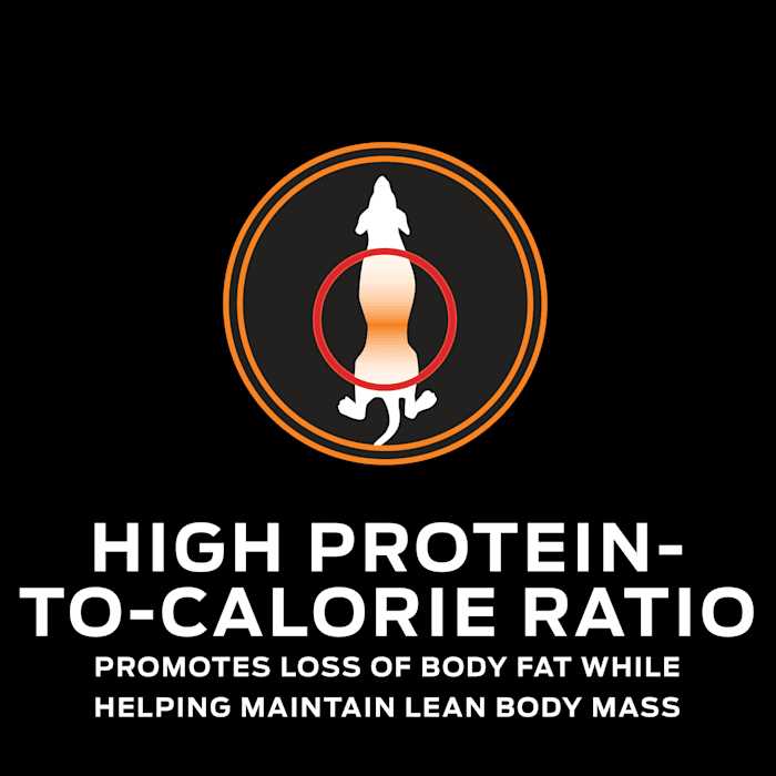 Overweight Management Dry Dog Food I911