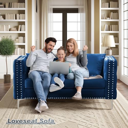 Velvet Loveseat Sofa for Living Room, 59 Inch Modern Upholstered with Pillows, Black W6680