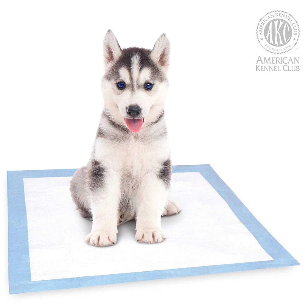 Training Pads for Dogs Q2039