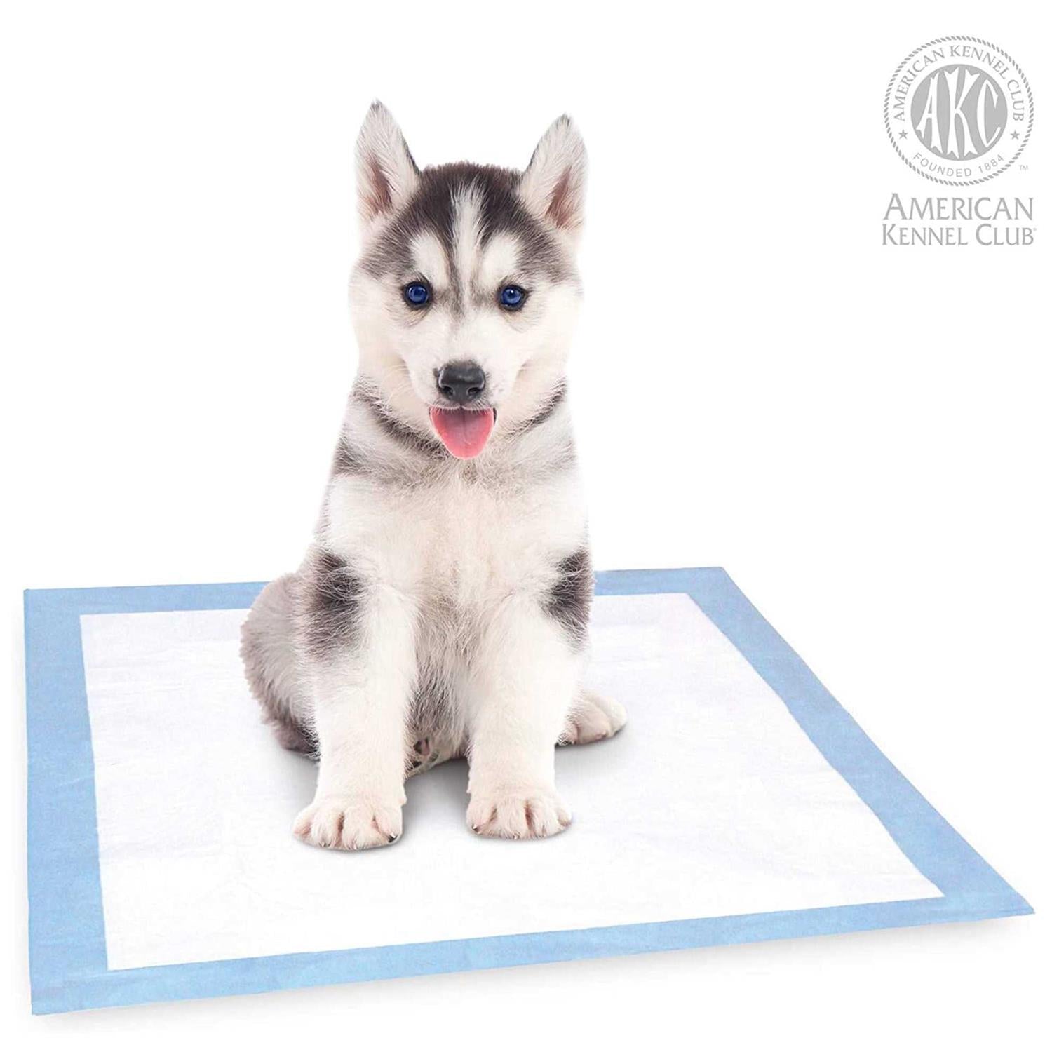 Training Pads for Dogs Q2039