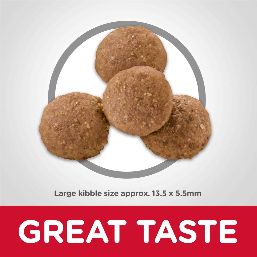 Large Breed Puppy Dry Dog Food Chicken Recipe C782201