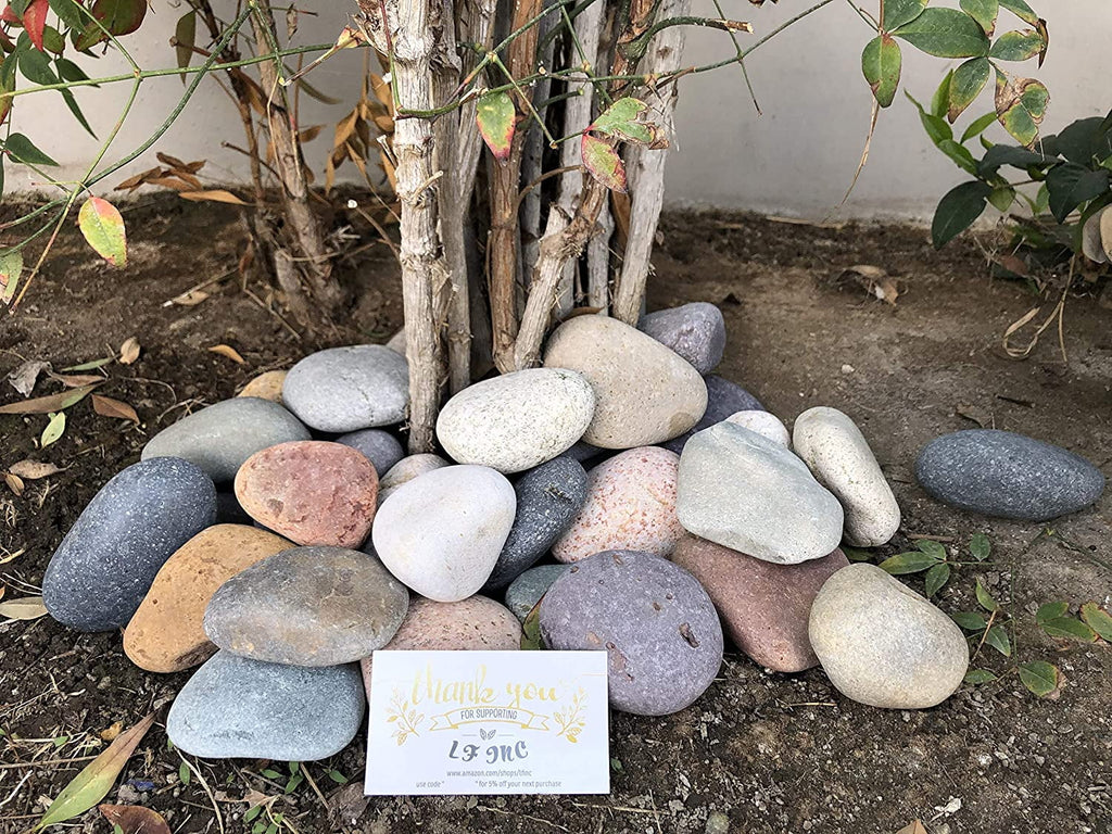 Large Mixed Mexican Stone Beach Pebbles 3-5 inches for Garden Landscape P18432