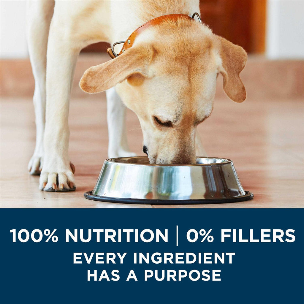 Large Breed Adult Dry Dog Food B54545