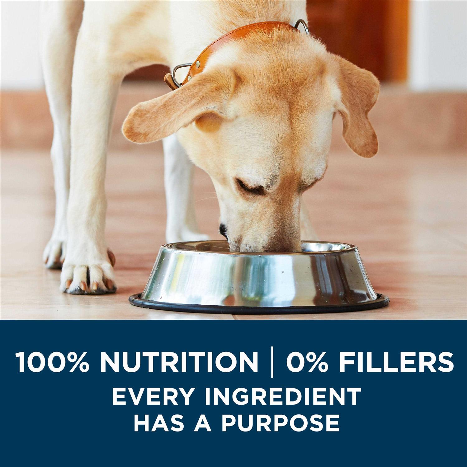 Large Breed Adult Dry Dog Food B54545