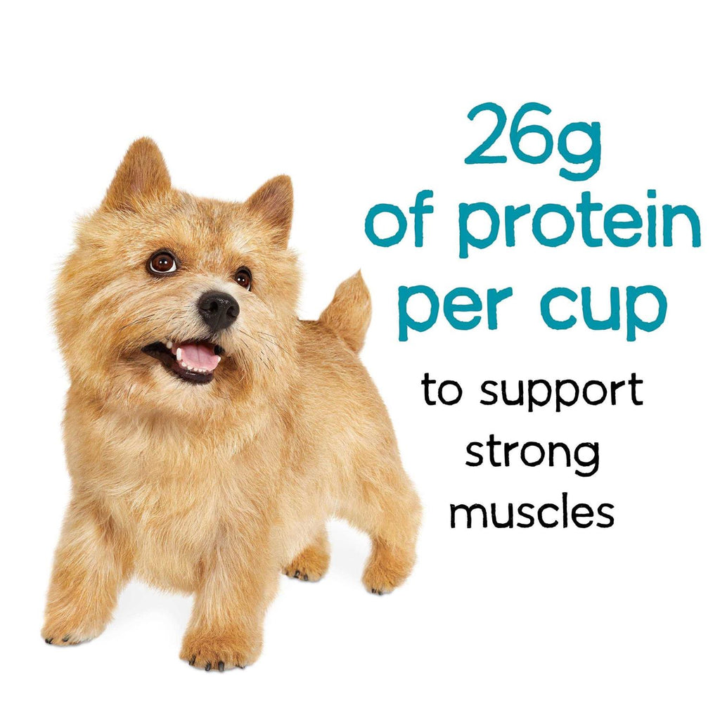 Beef Dry Dog Food J204
