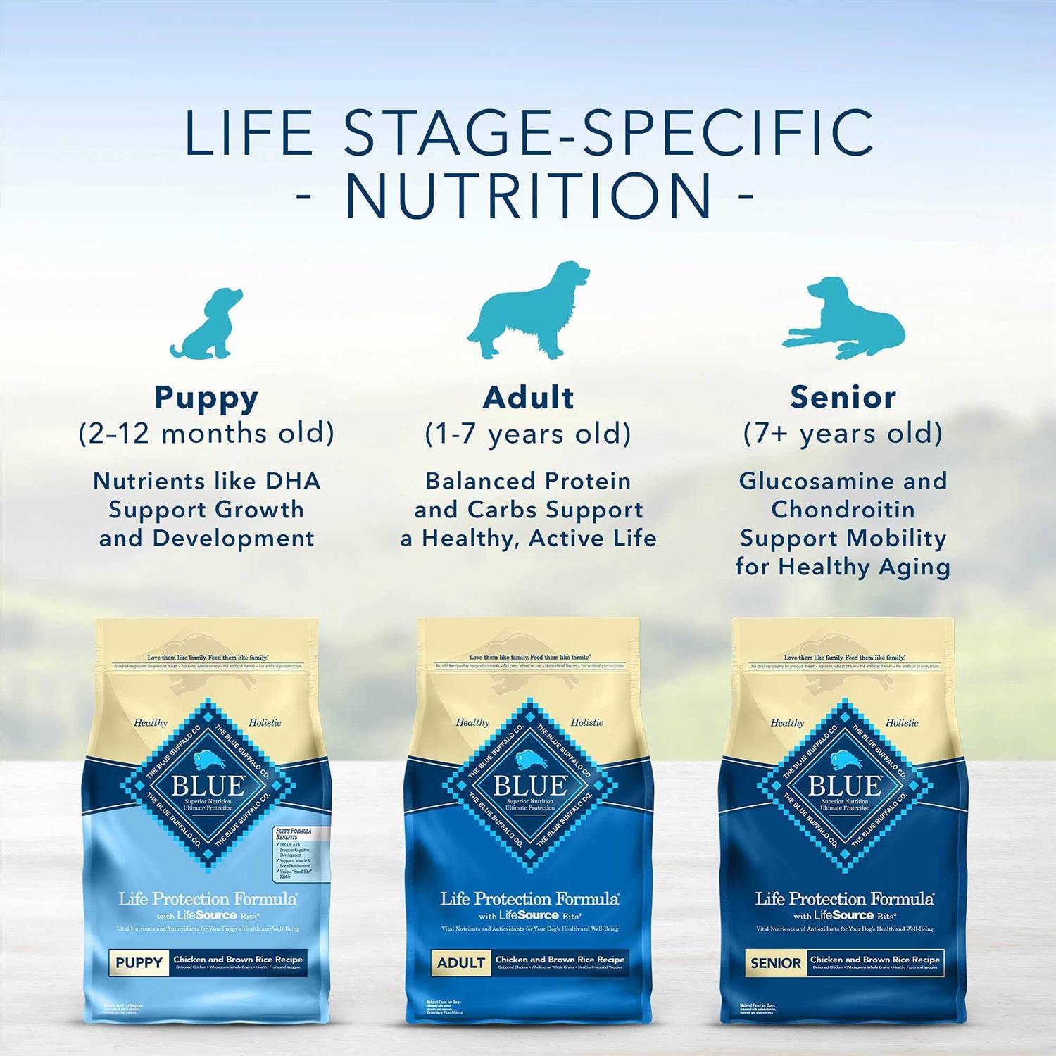 Chicken & Brown Rice Dry Puppy Dog Food C496